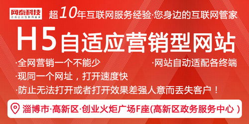 博興網站建設與技術服務——淄博網泰科技的專業之道