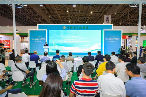 聯(lián)合國糧農(nóng)組織“一國一品”中國茶項(xiàng)目暨2024國際茶日中國活動(dòng)正式啟動(dòng)，技術(shù)推廣服務(wù)助力茶產(chǎn)業(yè)高質(zhì)量發(fā)展