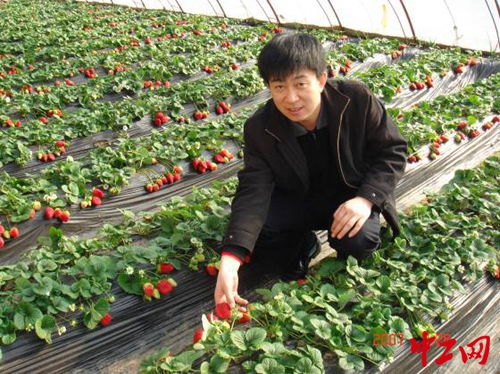 28載農(nóng)技推廣路 堅(jiān)守一線，播撒科技興農(nóng)的種子