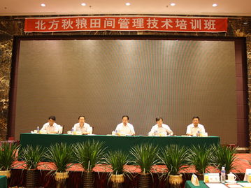 技術推廣服務中心 連接創新與應用的橋梁